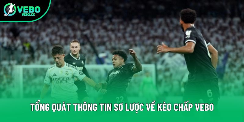 Tổng quát thông tin sơ lược về kèo chấp VEBO Tổng quát thông tin sơ lược về kèo chấp VEBO