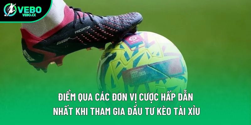 Điểm qua các đơn vị cược hấp dẫn nhất khi tham gia đầu tư kèo tài xỉu Điểm qua các đơn vị cược hấp dẫn nhất khi tham gia đầu tư kèo tài xỉu