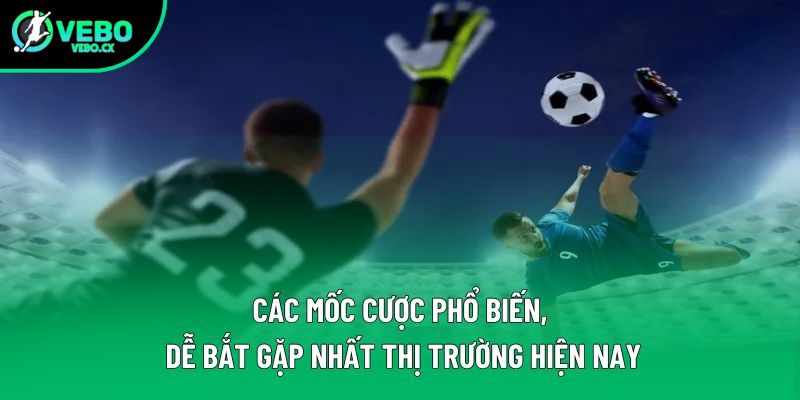 Các mốc cược phổ biến, dễ bắt gặp nhất thị trường hiện nay Các mốc cược phổ biến, dễ bắt gặp nhất thị trường hiện nay