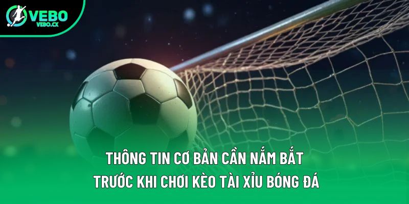 Thông tin cơ bản cần nắm bắt trước khi chơi kèo tài xỉu bóng đá Thông tin cơ bản cần nắm bắt trước khi chơi kèo tài xỉu bóng đá