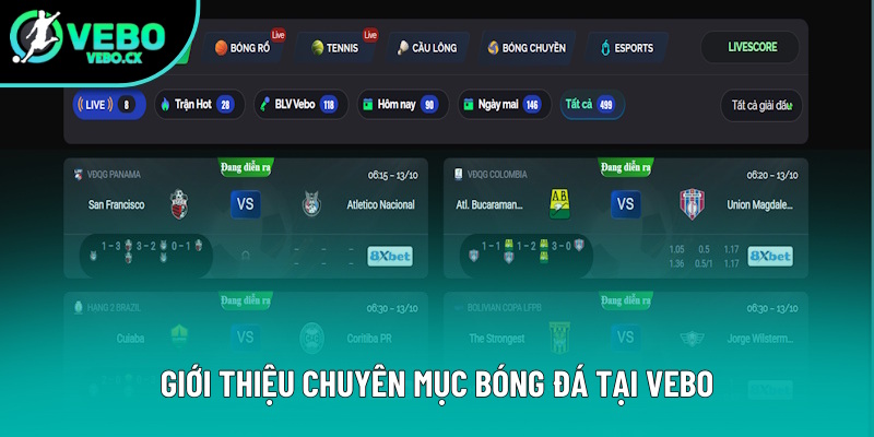 Thông tin giới thiệu mục bóng đá Thông tin giới thiệu mục bóng đá