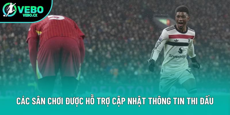 Các sân chơi được hỗ trợ cập nhật thông tin thi đấu Các sân chơi được hỗ trợ cập nhật thông tin thi đấu