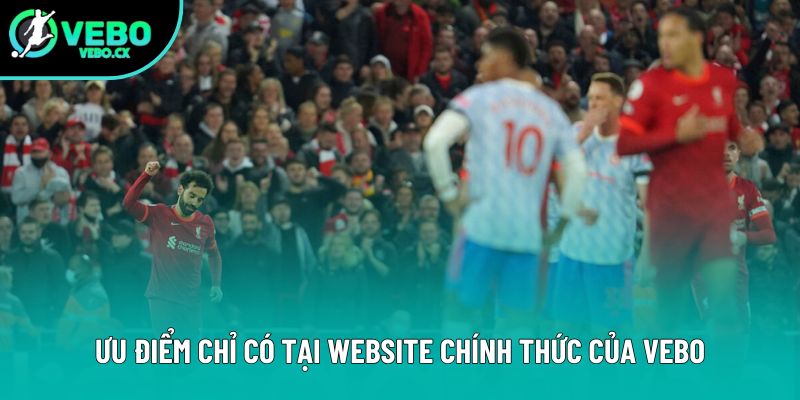 Ưu điểm chỉ có tại website chính thức của VEBO Ưu điểm chỉ có tại website chính thức của VEBO