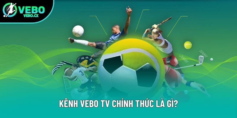Kênh VEBO TV chính thức là gì? Kênh VEBO TV chính thức là gì?