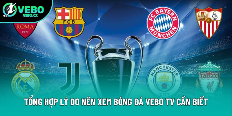 Tổng hợp lý do nên xem bóng đá VEBO TV cần biết Tổng hợp lý do nên xem bóng đá VEBO TV cần biết