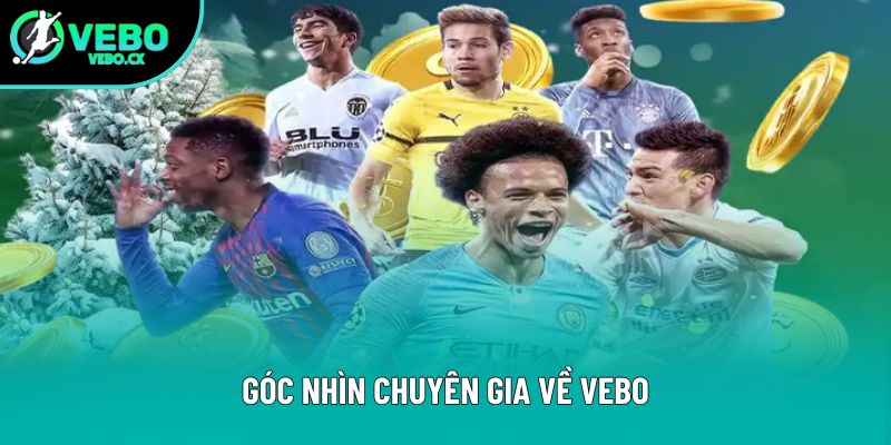 Góc nhìn chuyên gia về VEBO Góc nhìn chuyên gia về VEBO